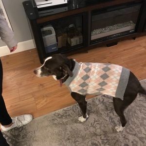 Meet your Posher, Jordan